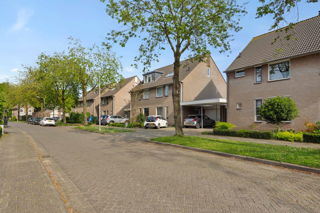 Photo 41 of Plecht 11