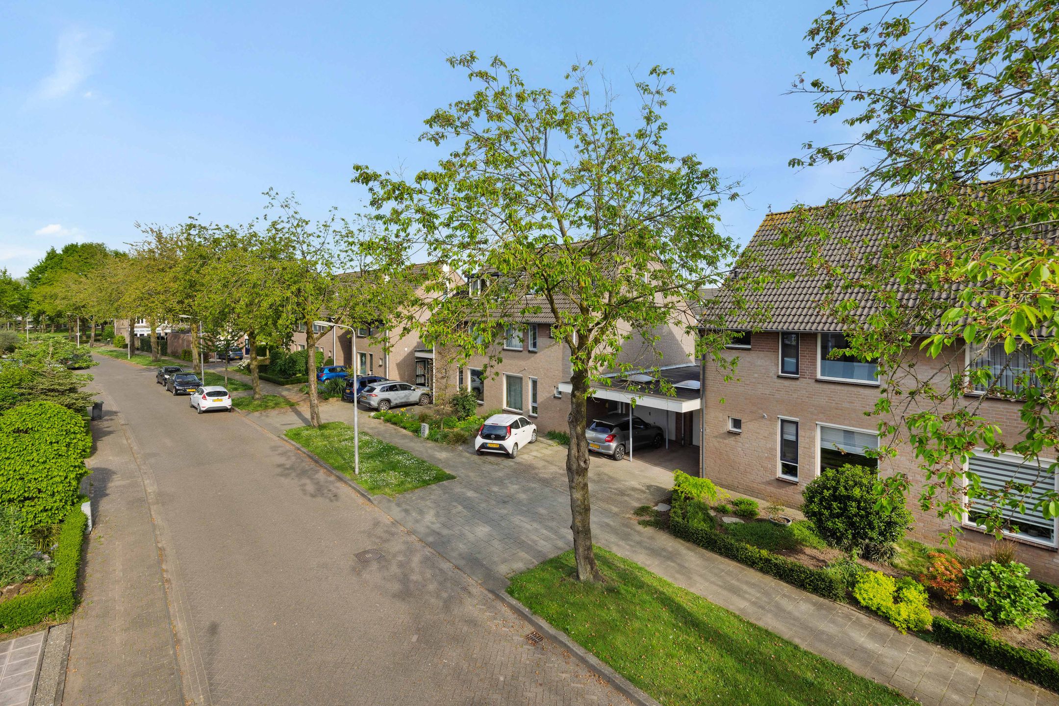 Photo 42 of Plecht 11