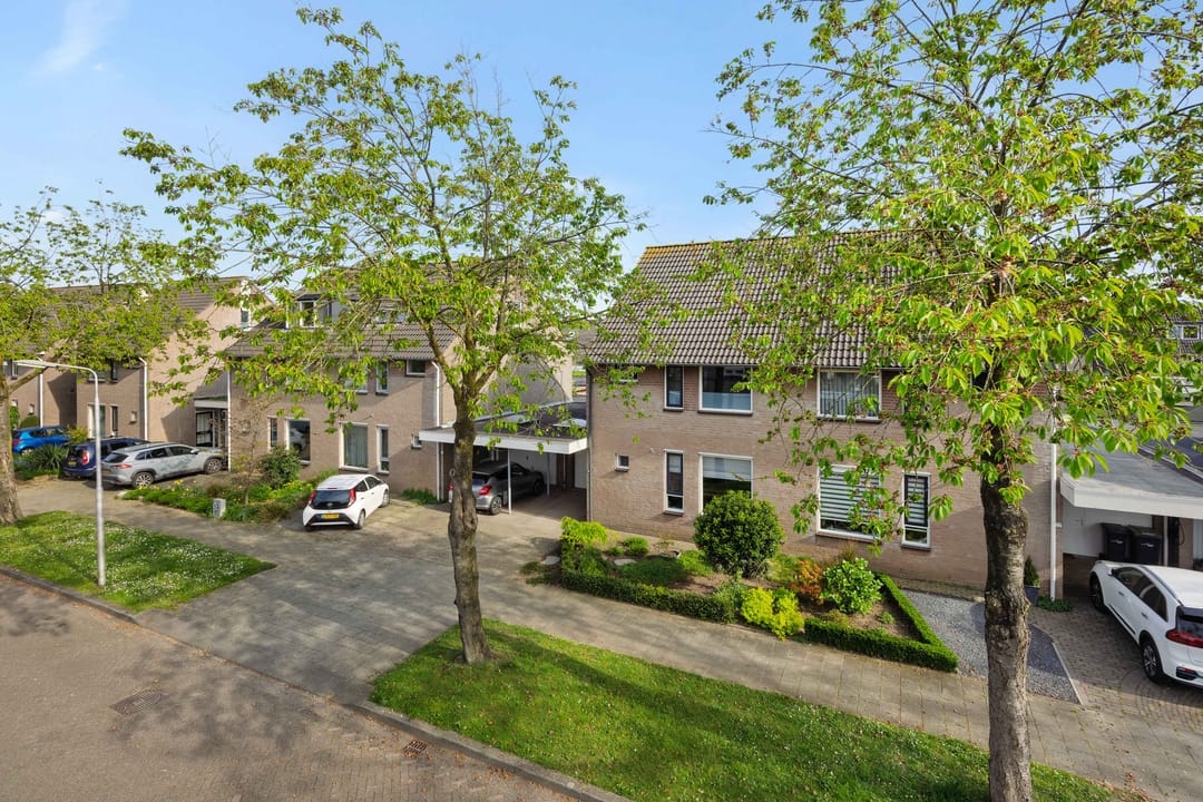 Photo 43 of Plecht 11