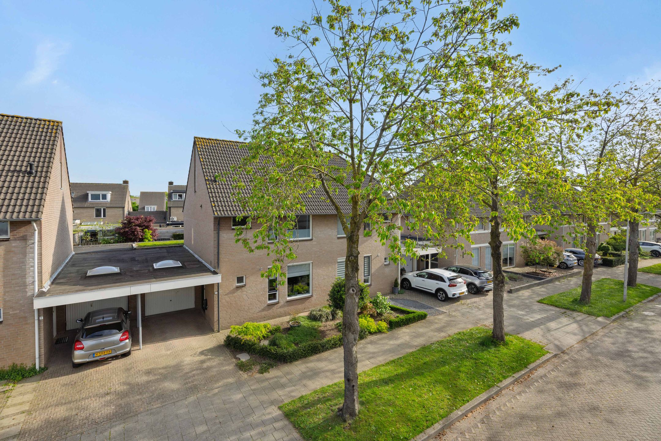 Photo 45 of Plecht 11