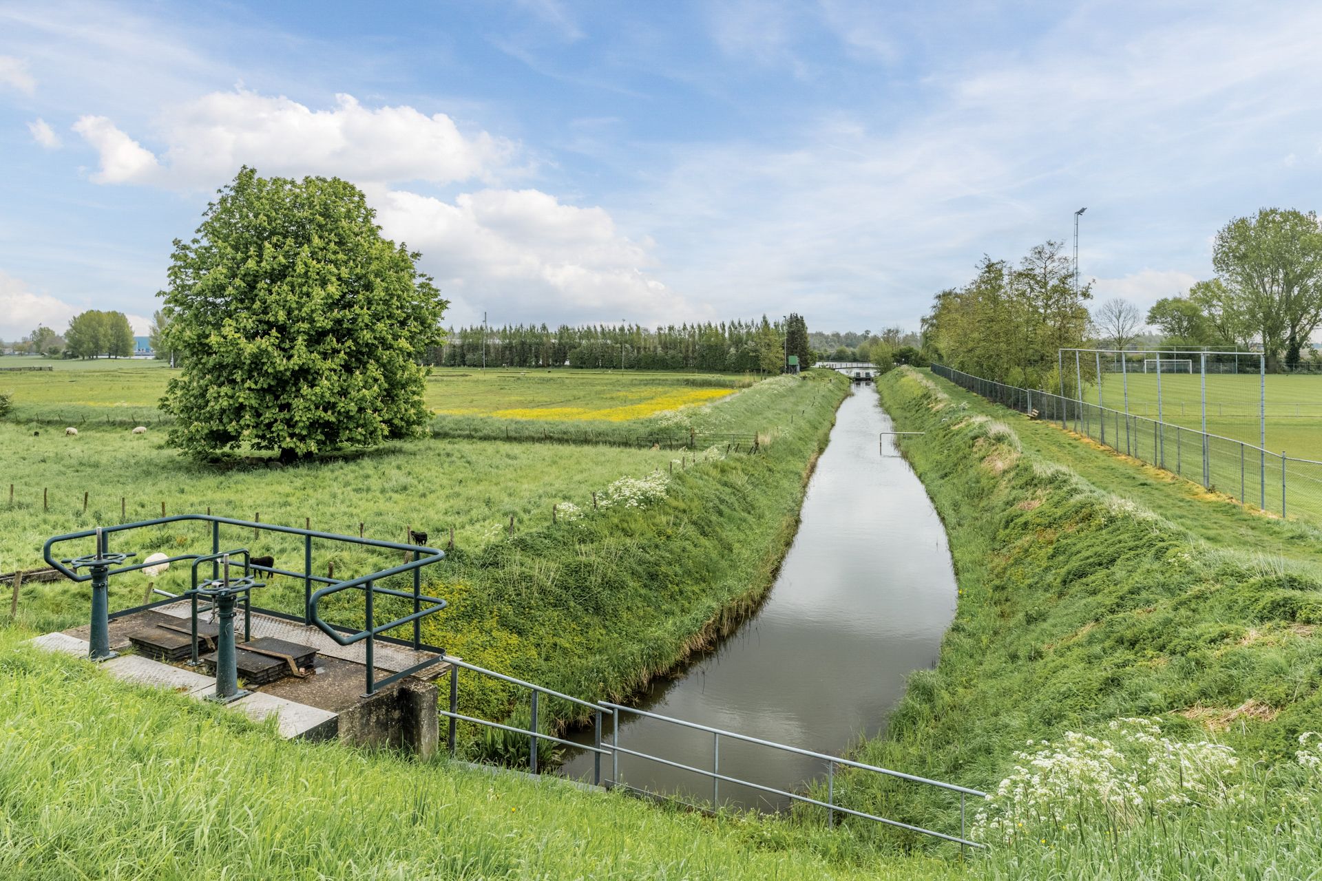 Foto 54 van Maasgaard 12