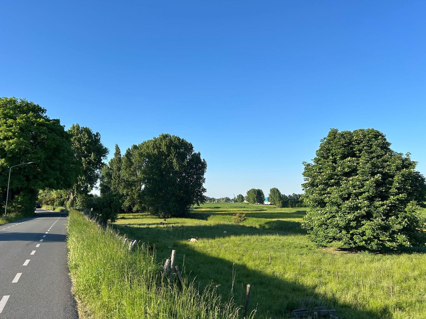 Foto 55 van Maasgaard 12