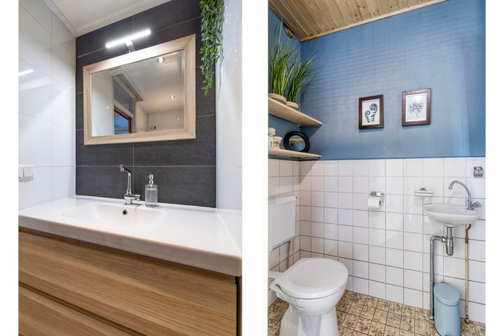 Foto 19 van Hoefblad 54