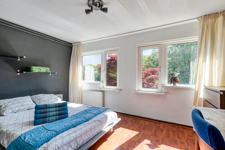 Foto 12 van Hoefblad 54