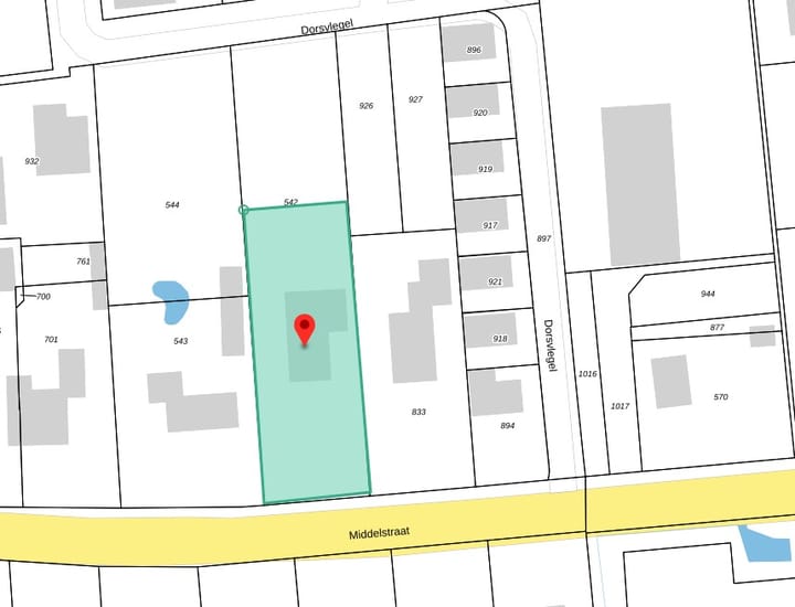 Foto 50 van Middelstraat 16