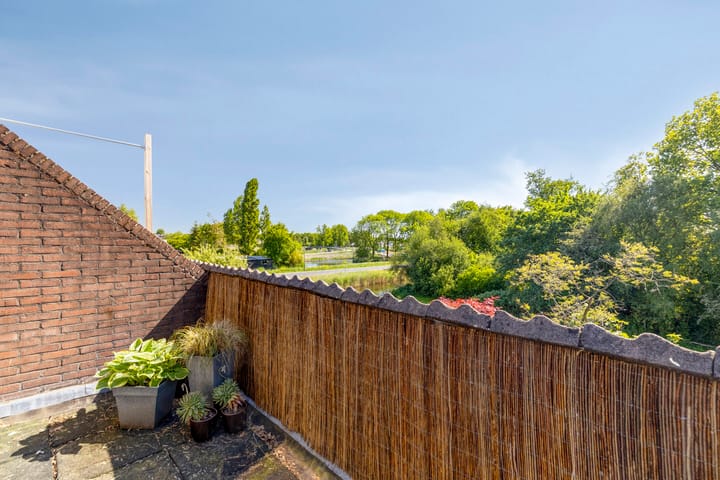 Foto 22 van Hoefblad 54