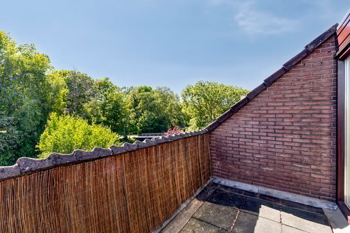 Foto 23 van Hoefblad 54