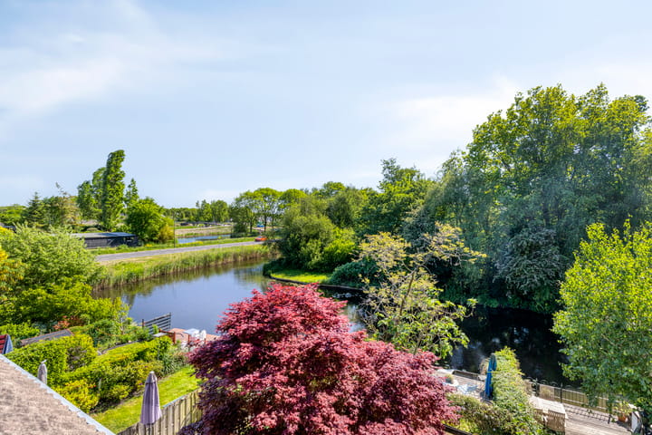 Foto 24 van Hoefblad 54