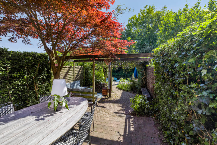 Foto 6 van Hoefblad 54