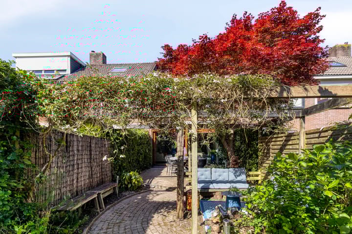 Foto 2 van Hoefblad 54