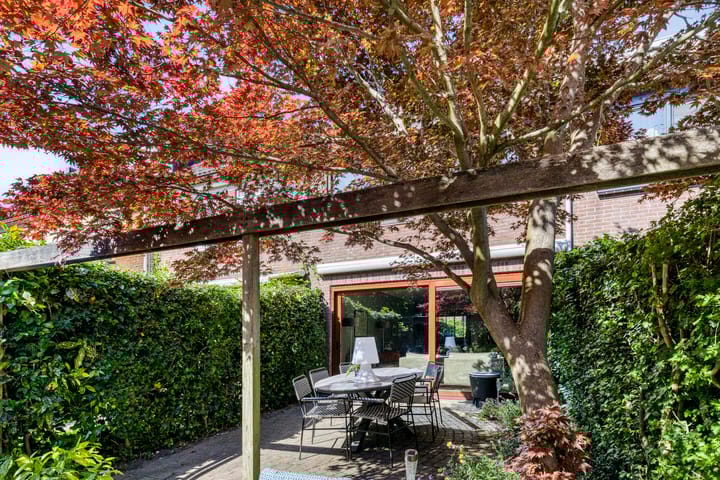 Foto 25 van Hoefblad 54