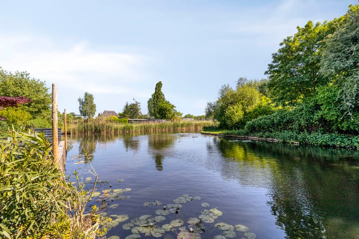 Foto 27 van Hoefblad 54