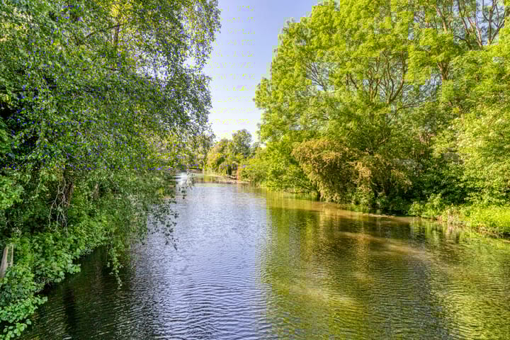 Foto 28 van Hoefblad 54