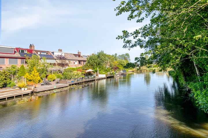 Foto 29 van Hoefblad 54