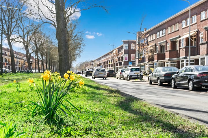 Foto 55 van Laan van Meerdervoort 765