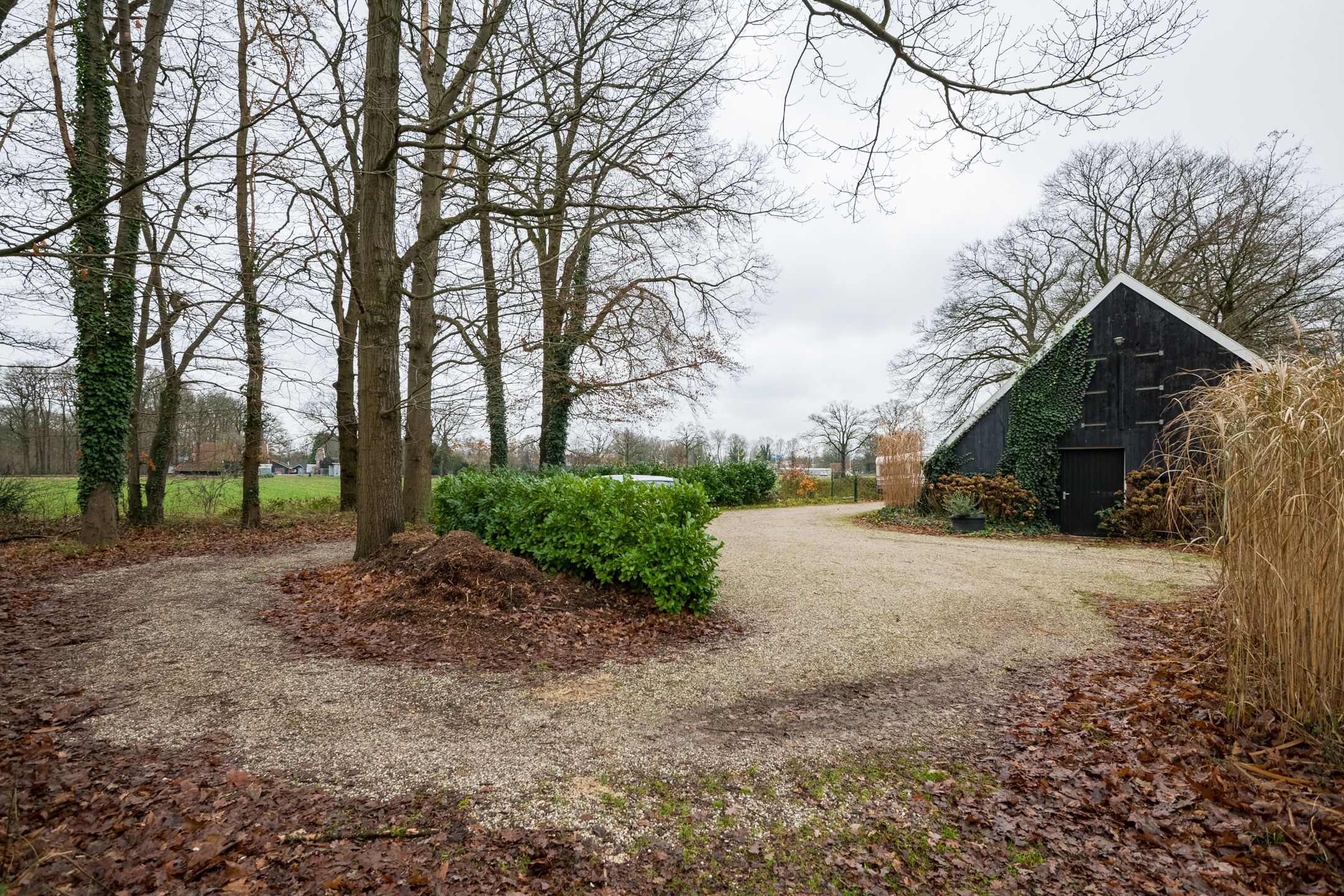 Foto 6 van Honesweg 12