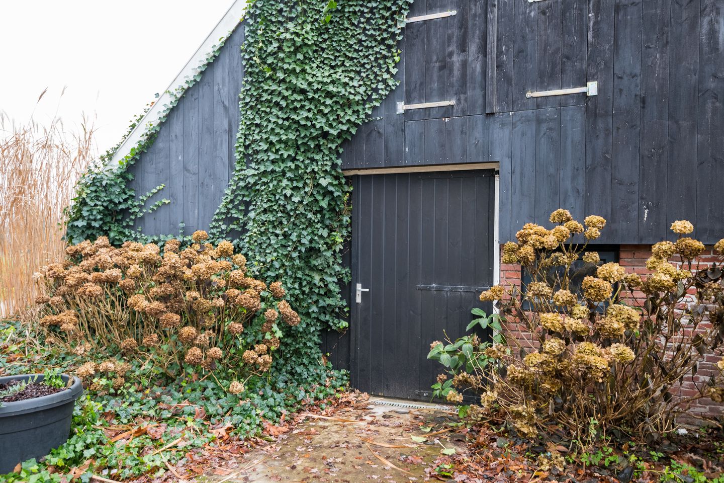 Foto 20 van Honesweg 12