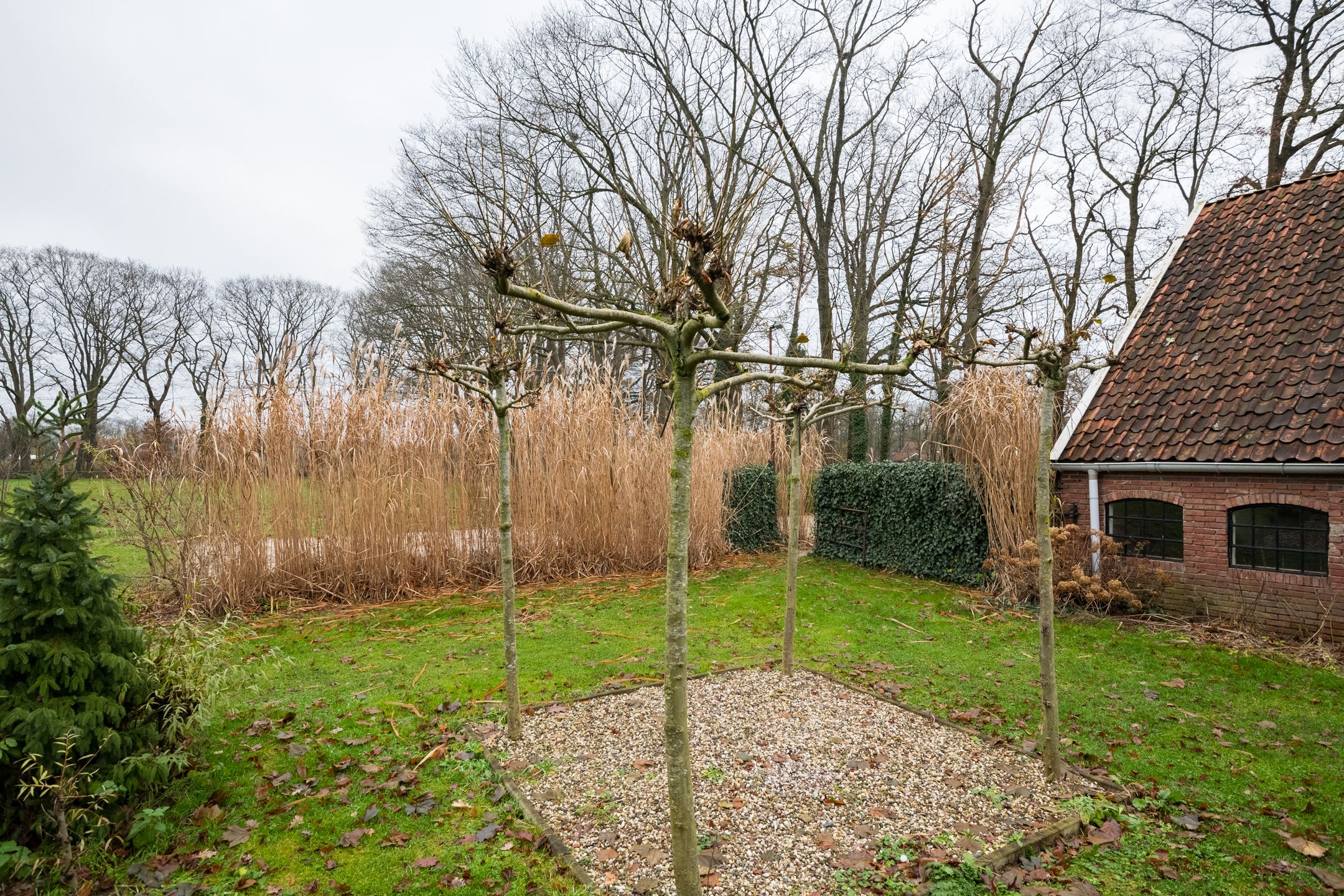 Foto 42 van Honesweg 12