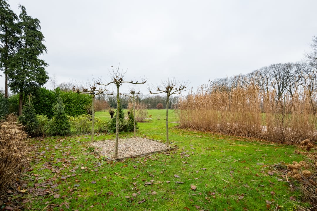 Foto 43 van Honesweg 12