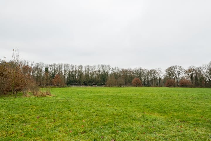 Foto 46 van Honesweg 12