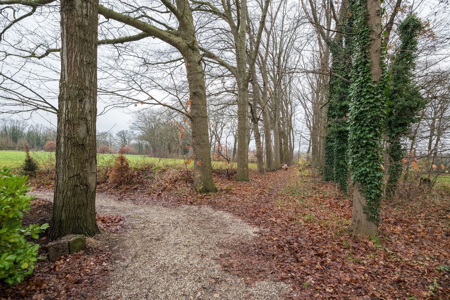 Foto 49 van Honesweg 12