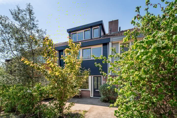 Foto 1 van Duiveland 38