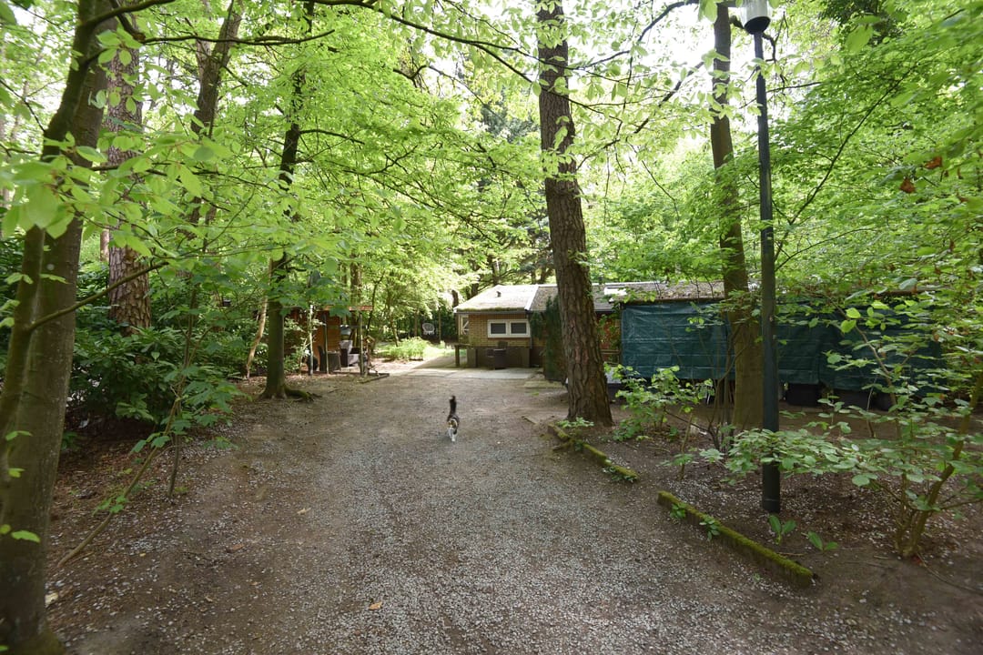 Foto 8 van Woesterbergweg 27