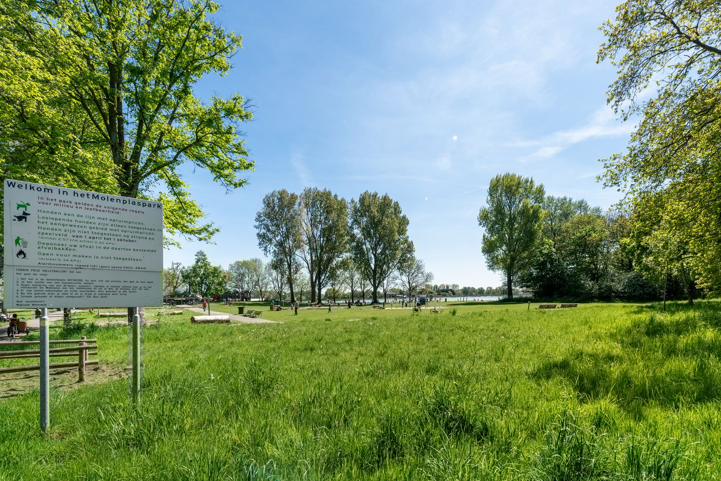 Foto 29 van Duiveland 38