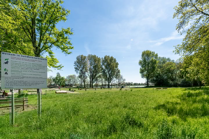 Foto 29 van Duiveland 38