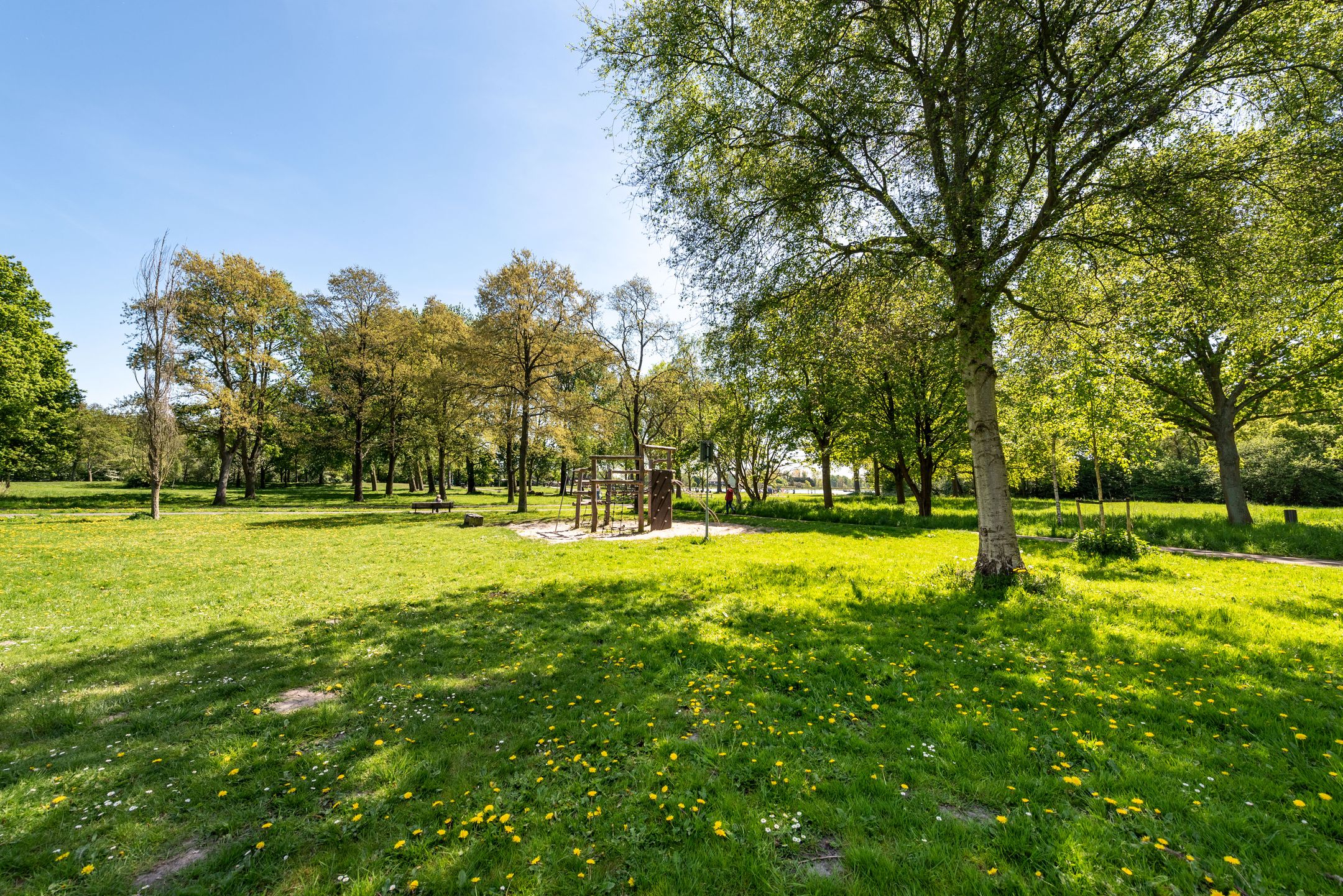 Foto 30 van Duiveland 38