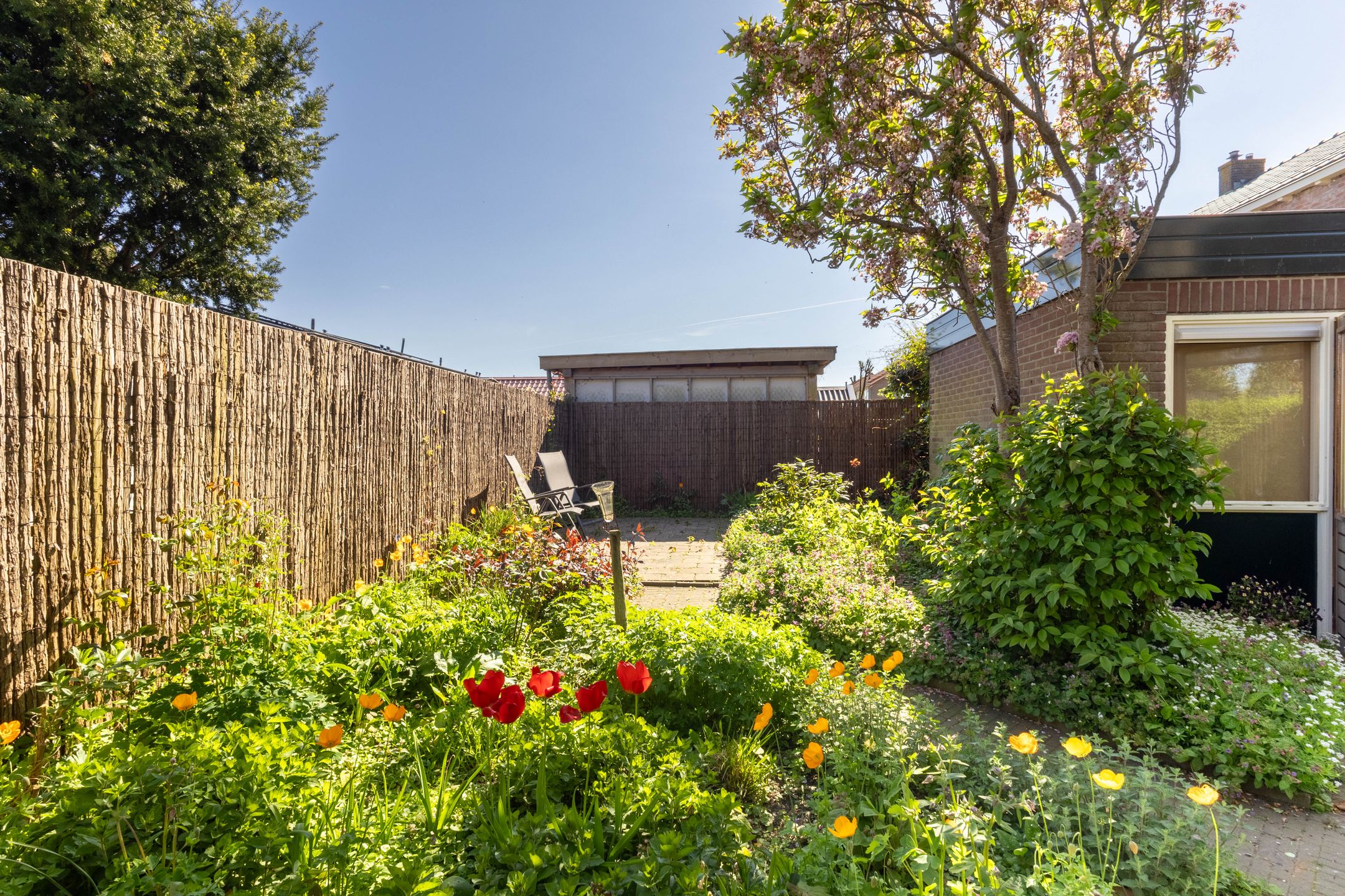 Foto 30 van Boargemaster Dukerstrjitte 24