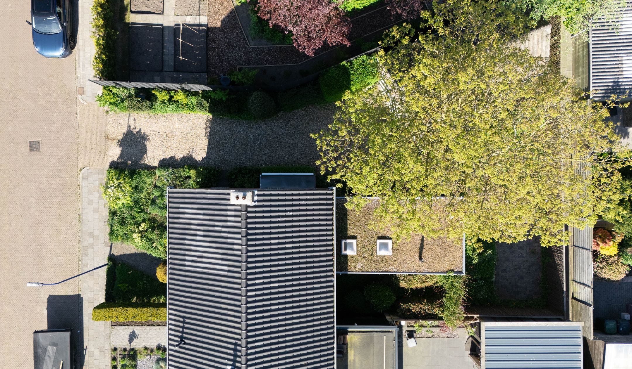 Foto 36 van Boargemaster Dukerstrjitte 24