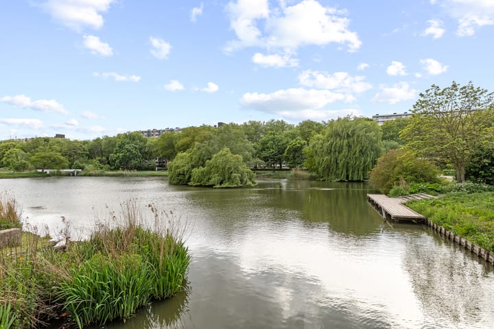 Foto 5 van Livingstonelaan 410