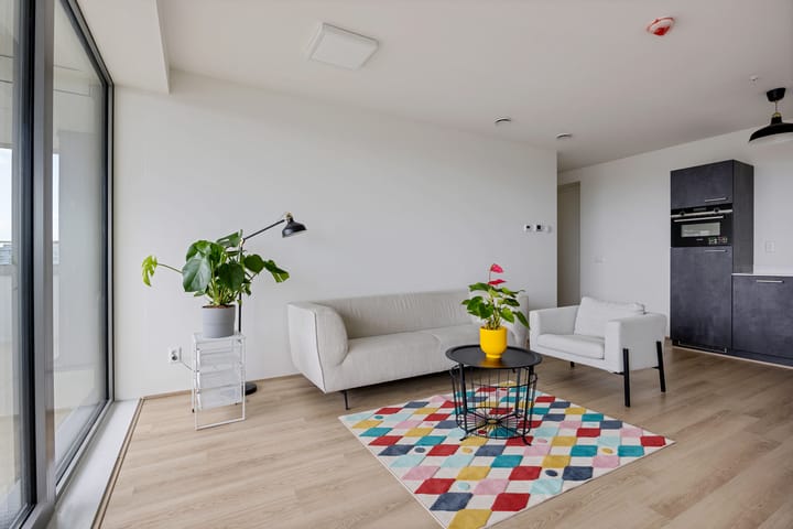 Foto 19 van Baan 54-X