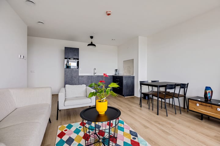 Foto 20 van Baan 54-X