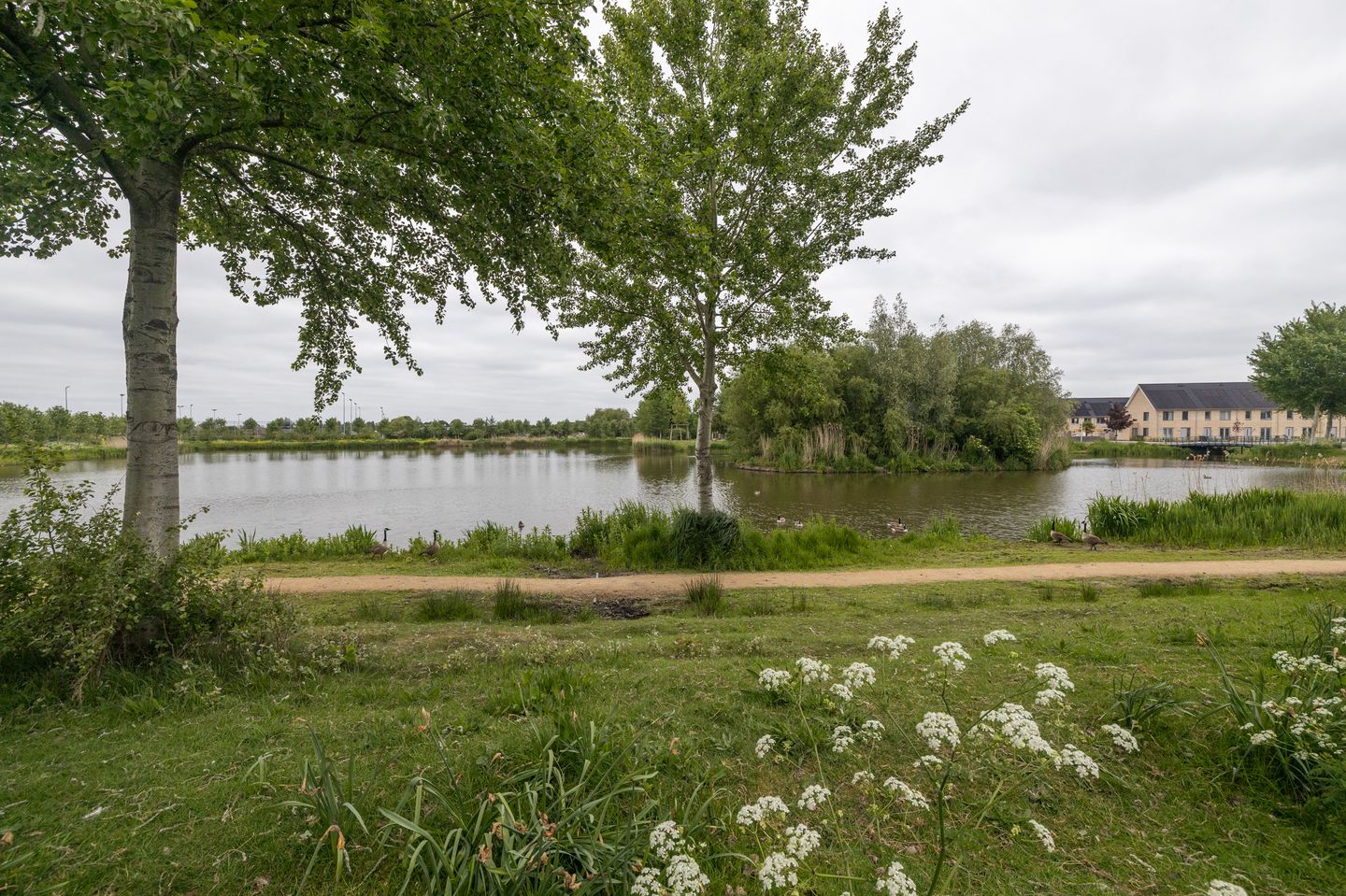 Foto 25 van Gooimeerhof 24