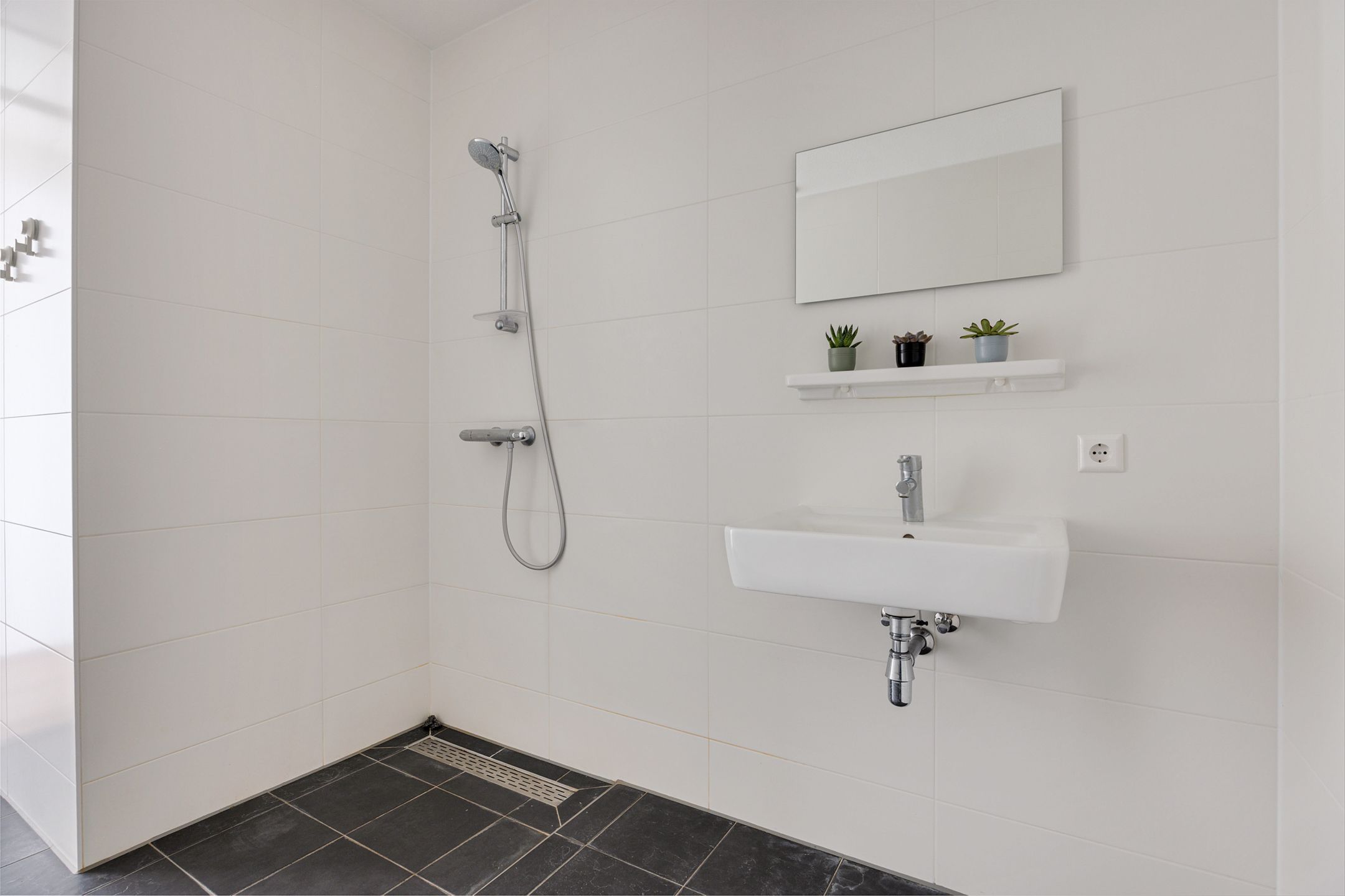 Foto 33 van Baan 54-X