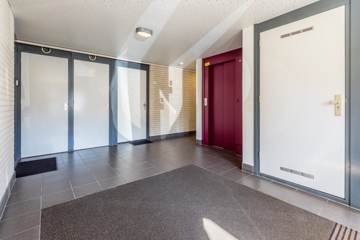 Foto 8 van Vogelhei 3