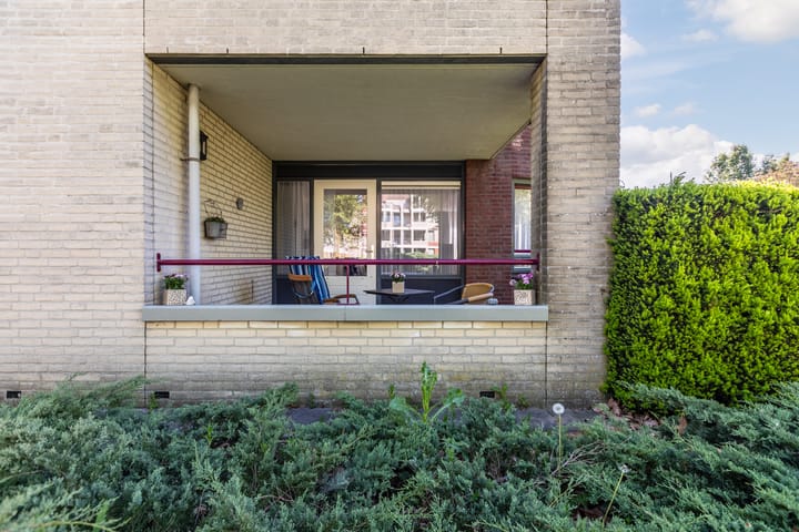 Foto 14 van Vogelhei 3