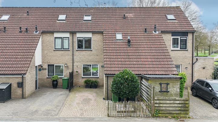 Foto 4 van Sneeuwvink 31