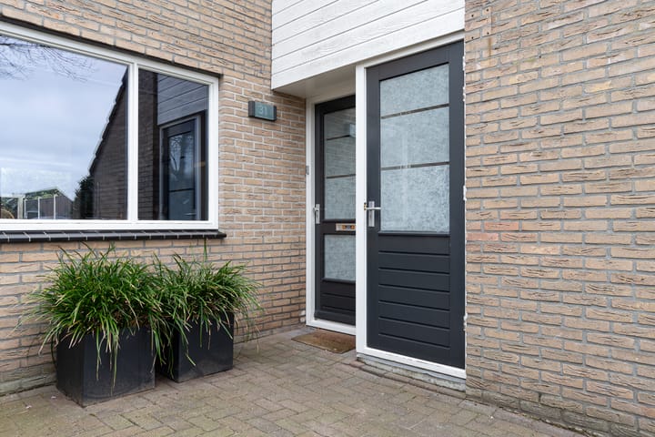 Foto 6 van Sneeuwvink 31