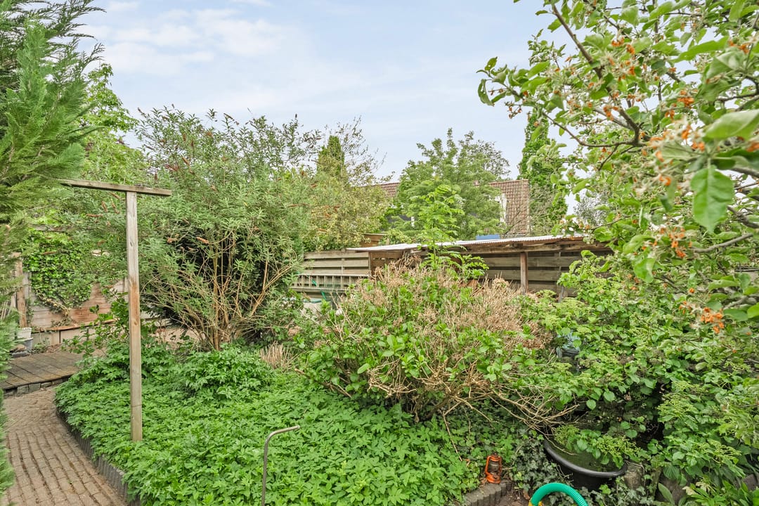 Foto 2 van Krulmate 12