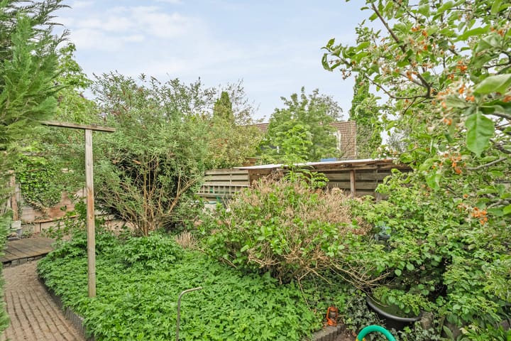 Foto 2 van Krulmate 12