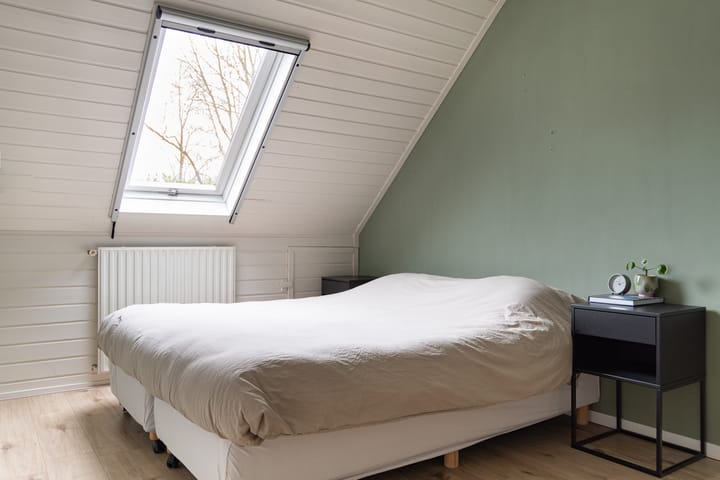 Foto 31 van Sneeuwvink 31