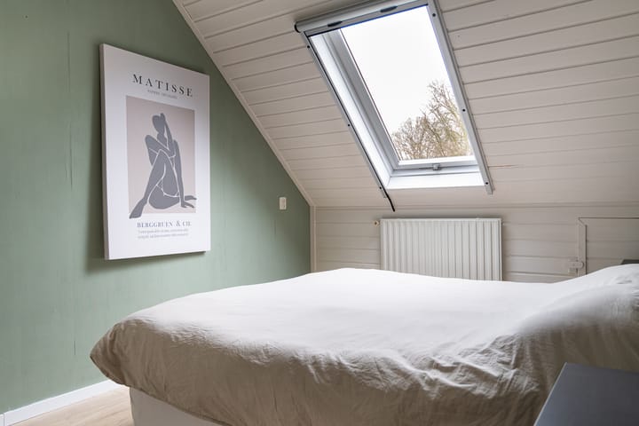 Foto 33 van Sneeuwvink 31