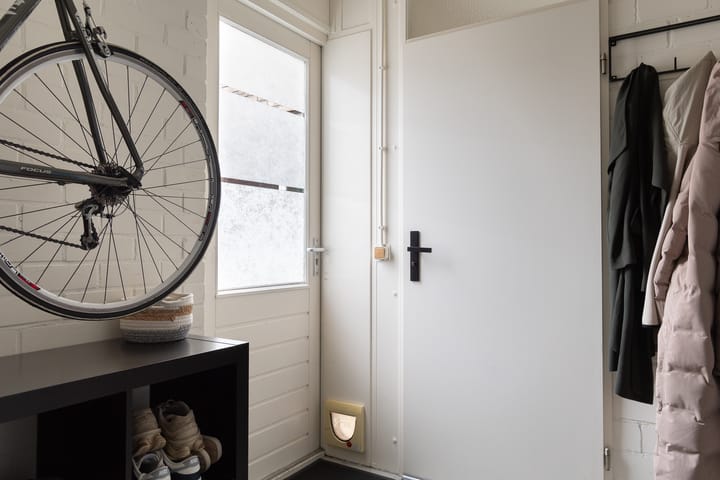 Foto 44 van Sneeuwvink 31