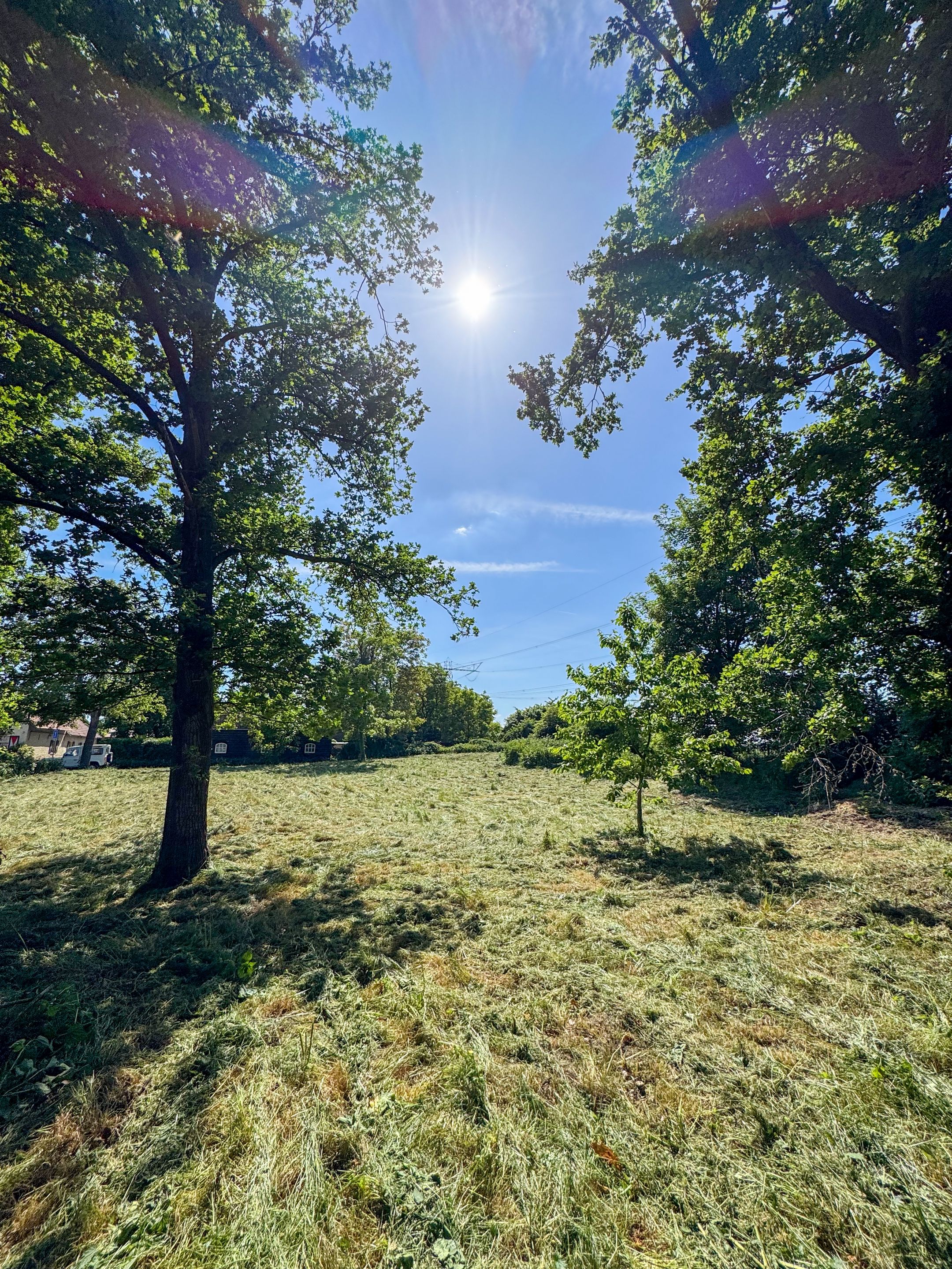 Foto 9 van Aasterbergerweg