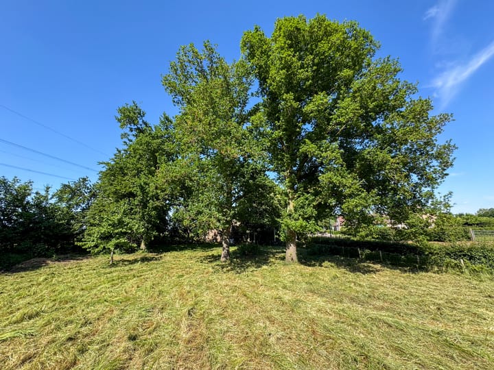 Foto 13 van Aasterbergerweg