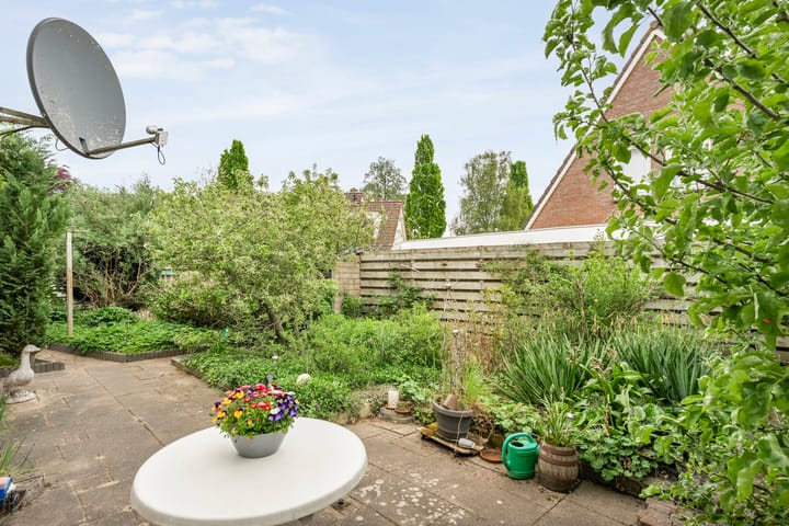 Foto 27 van Krulmate 12