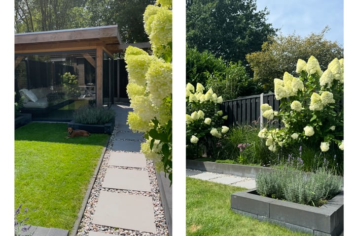 Foto 52 van Sneeuwvink 31